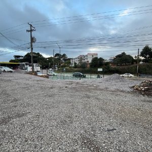 Casa com 650m², no bairro São Ciro em Caxias do Sul para Alugar ou Comprar