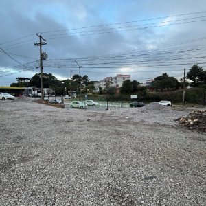 Casa com 650m², no bairro São Ciro em Caxias do Sul para Alugar ou Comprar