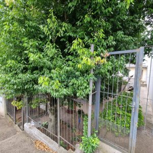 Casa com 164m², 3 dormitórios, no bairro Panazzolo em Caxias do Sul para Comprar