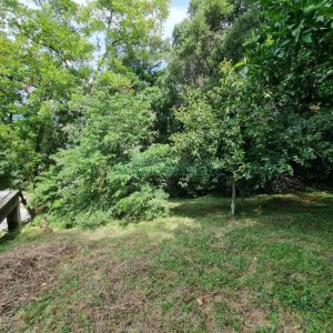 Chácara com 1672m², no bairro Linha 40 em Caxias do Sul para Comprar