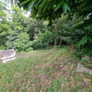Chácara com 1672m², no bairro Linha 40 em Caxias do Sul para Comprar