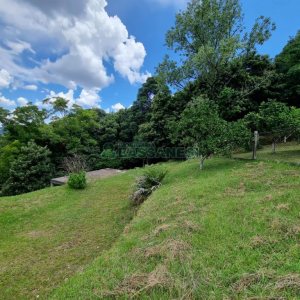 Chácara com 1672m², no bairro Linha 40 em Caxias do Sul para Comprar