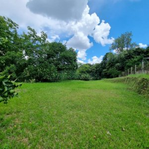 Chácara com 1672m², no bairro Linha 40 em Caxias do Sul para Comprar