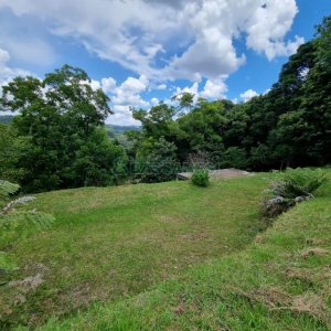 Chácara com 1672m², no bairro Linha 40 em Caxias do Sul para Comprar