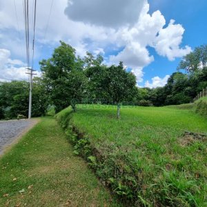 Chácara com 1672m², no bairro Linha 40 em Caxias do Sul para Comprar