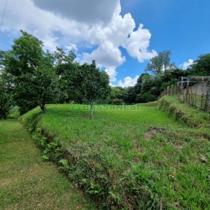 Chácara com 1672m², no bairro Linha 40 em Caxias do Sul para Comprar