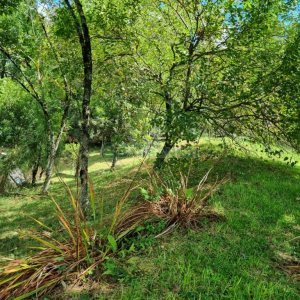 Chácara com 1672m², no bairro Linha 40 em Caxias do Sul para Comprar