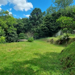 Chácara com 1672m², no bairro Linha 40 em Caxias do Sul para Comprar
