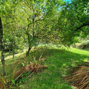 Chácara com 1672m², no bairro Linha 40 em Caxias do Sul para Comprar