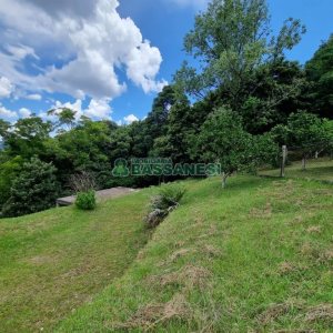 Chácara com 1672m², no bairro Linha 40 em Caxias do Sul para Comprar