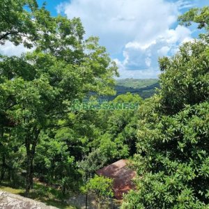 Chácara com 1672m², no bairro Linha 40 em Caxias do Sul para Comprar