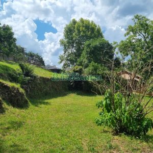 Chácara com 1672m², no bairro Linha 40 em Caxias do Sul para Comprar