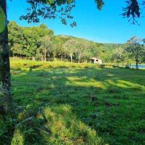 Chácara com 38600m², no bairro Fazenda Souza em Caxias do Sul para Comprar