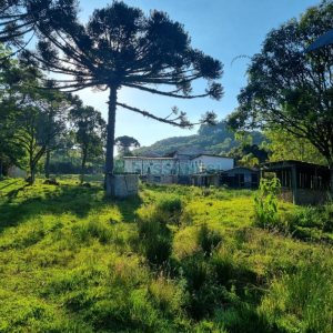 Chácara com 38600m², no bairro Fazenda Souza em Caxias do Sul para Comprar
