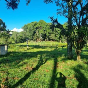 Chácara com 38600m², no bairro Fazenda Souza em Caxias do Sul para Comprar
