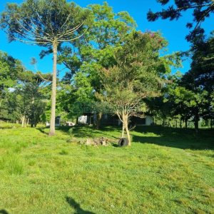 Chácara com 38600m², no bairro Fazenda Souza em Caxias do Sul para Comprar