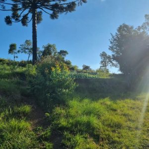 Chácara com 38600m², no bairro Fazenda Souza em Caxias do Sul para Comprar