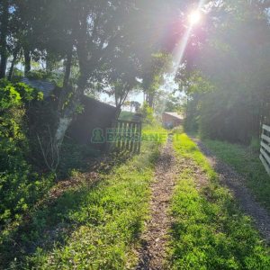 Chácara com 38600m², no bairro Fazenda Souza em Caxias do Sul para Comprar