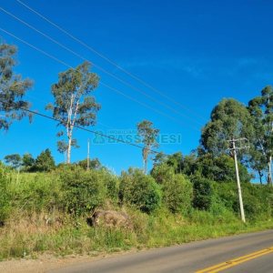 Chácara com 38600m², no bairro Fazenda Souza em Caxias do Sul para Comprar