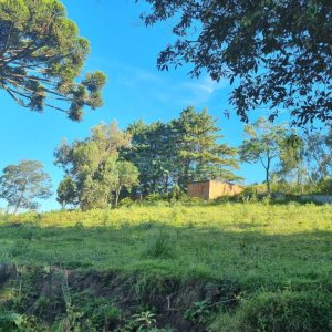 Chácara com 38600m², no bairro Fazenda Souza em Caxias do Sul para Comprar