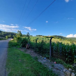 Chácara com 38600m², no bairro Fazenda Souza em Caxias do Sul para Comprar