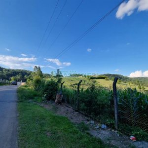 Chácara com 38600m², no bairro Fazenda Souza em Caxias do Sul para Comprar