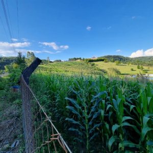 Chácara com 38600m², no bairro Fazenda Souza em Caxias do Sul para Comprar