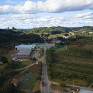 Pavilhão com 4300m², no bairro Jardim das Hortências em Caxias do Sul para Alugar