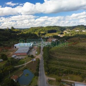 Pavilhão com 4300m², no bairro Jardim das Hortências em Caxias do Sul para Alugar