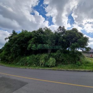 Terreno com 3758m², no bairro Salgado Filho em Caxias do Sul para Comprar
