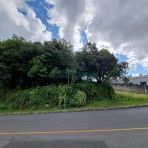 Terreno com 3758m², no bairro Salgado Filho em Caxias do Sul para Comprar