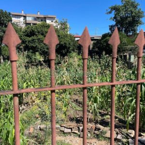 Terreno com 1048m², no bairro Sagrada Família em Caxias do Sul para Comprar