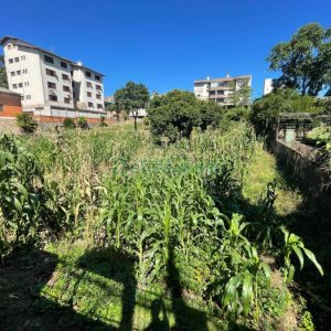 Terreno com 1048m², no bairro Sagrada Família em Caxias do Sul para Comprar