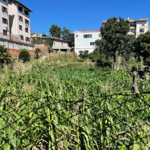 Terreno com 1058m², no bairro Sagrada Família em Caxias do Sul para Comprar