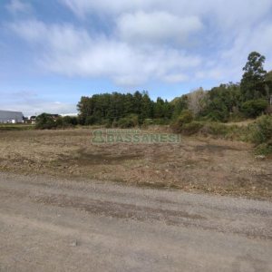 Terreno com 15800m², no bairro Forqueta em Caxias do Sul para Comprar