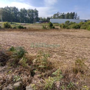 Terreno com 10800m², no bairro Forqueta em Caxias do Sul para Comprar