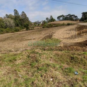 Terreno com 10800m², no bairro Forqueta em Caxias do Sul para Comprar