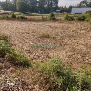 Terreno com 10800m², no bairro Forqueta em Caxias do Sul para Comprar