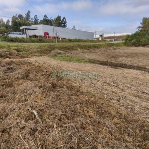 Terreno com 10800m², no bairro Forqueta em Caxias do Sul para Comprar
