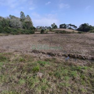 Terreno com 10800m², no bairro Forqueta em Caxias do Sul para Comprar
