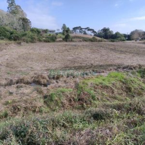 Terreno com 10800m², no bairro Forqueta em Caxias do Sul para Comprar
