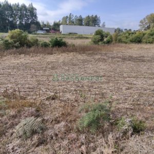 Terreno com 10800m², no bairro Forqueta em Caxias do Sul para Comprar