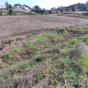 Terreno com 10800m², no bairro Forqueta em Caxias do Sul para Comprar