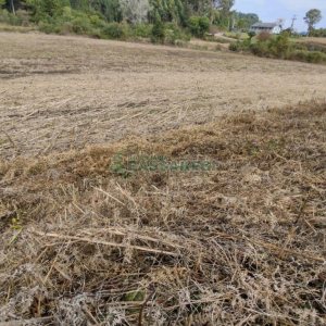 Terreno com 10800m², no bairro Forqueta em Caxias do Sul para Comprar