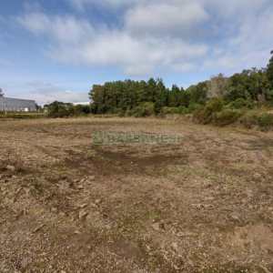 Terreno com 10800m², no bairro Forqueta em Caxias do Sul para Comprar