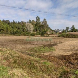 Terreno com 10800m², no bairro Forqueta em Caxias do Sul para Comprar