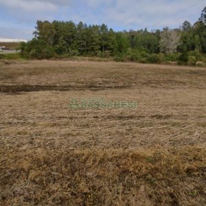 Terreno com 10800m², no bairro Forqueta em Caxias do Sul para Comprar