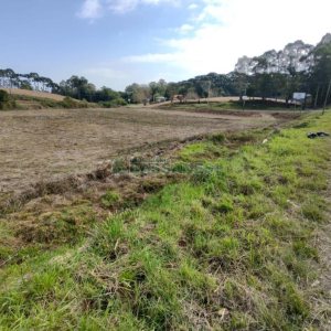 Terreno com 10800m², no bairro Forqueta em Caxias do Sul para Comprar