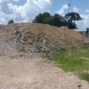 Terreno com 7808m², no bairro Marechal Floriano em Caxias do Sul para Comprar