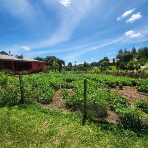 Chácara com 150m², 3 dormitórios, no bairro Apanhador em Caxias do Sul para Comprar